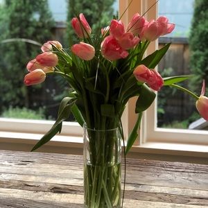 Meet your Posher, Meggie